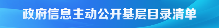 政府信息主动公开基层目录清单